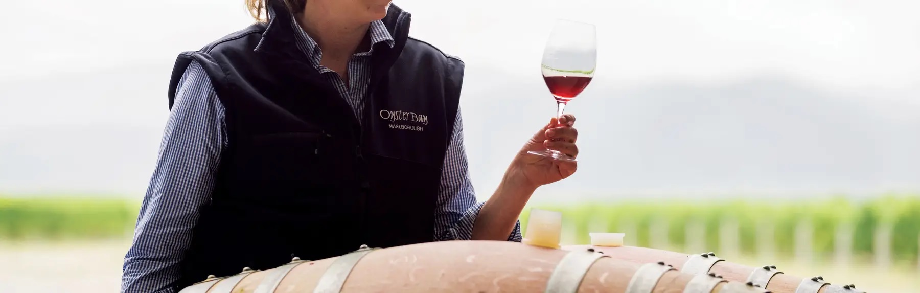 WINES WINES