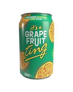 Ting Zesty Caribbean Fruit Fizz 24x 330ml